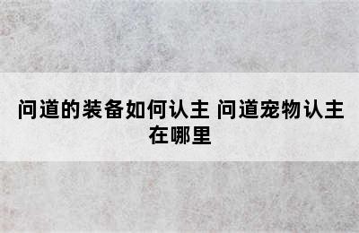 问道的装备如何认主 问道宠物认主在哪里